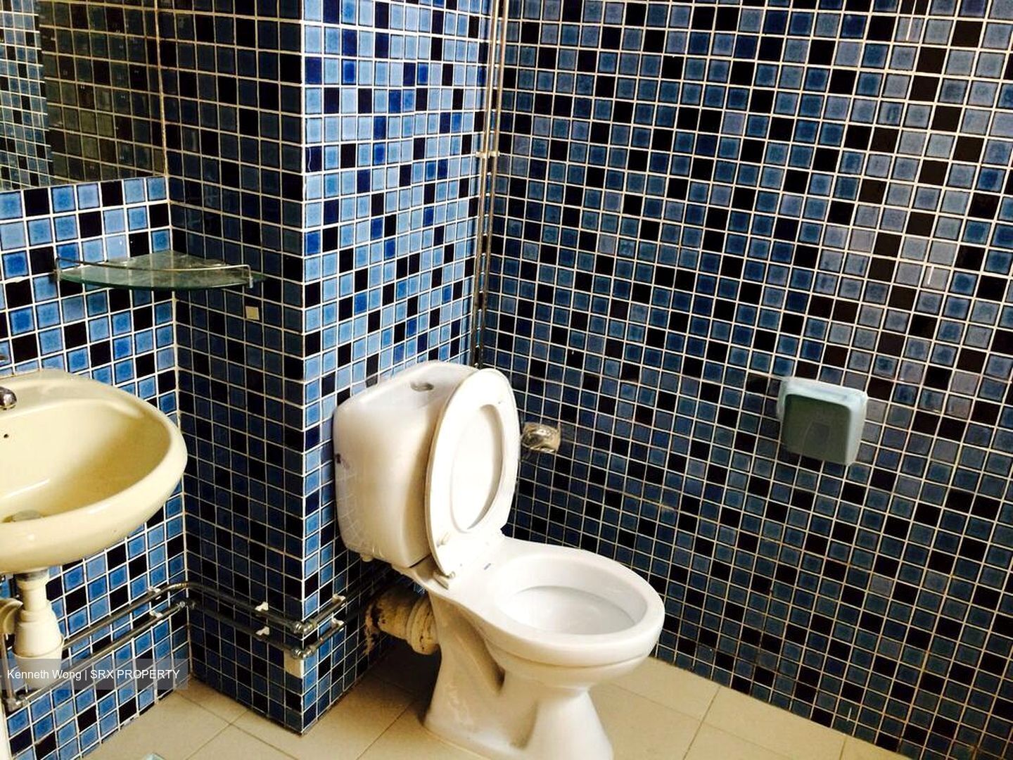 Mimosa Park (D28), Condominium #470506551